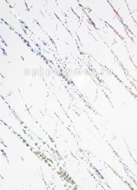 HC9410 Серебряный бриз