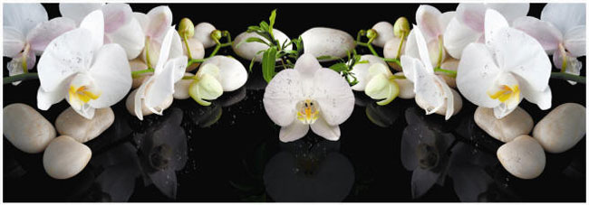 Фартук ХДФ Элит 2070x695 мм, Белая Орхидея
