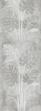 Монстера узор